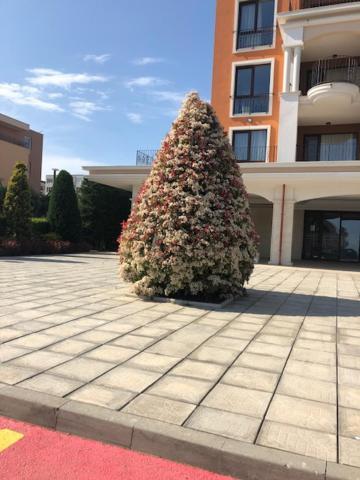 Apartment In Prestige Fort Beach Szveti Vlasz Kültér fotó
